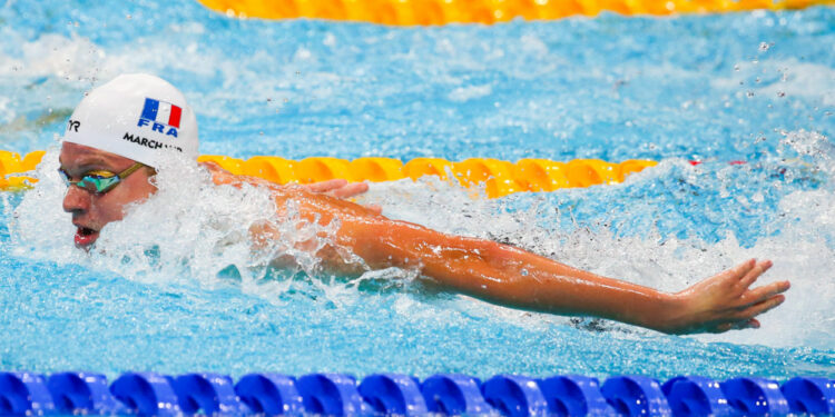 Natation : La France revit à Budapest