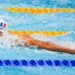 Natation : La France revit à Budapest