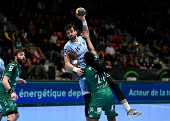 Handball : Javier Borragan, colosse Irréductible