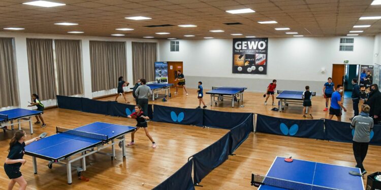 Tennis de table : La Pro B plutôt que la Pro A à Quimper ?