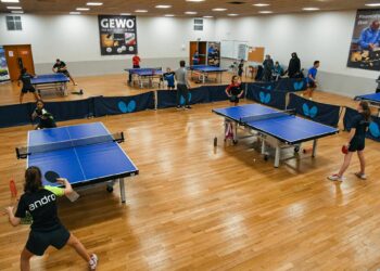 Tennis de table : Angers face à son destin