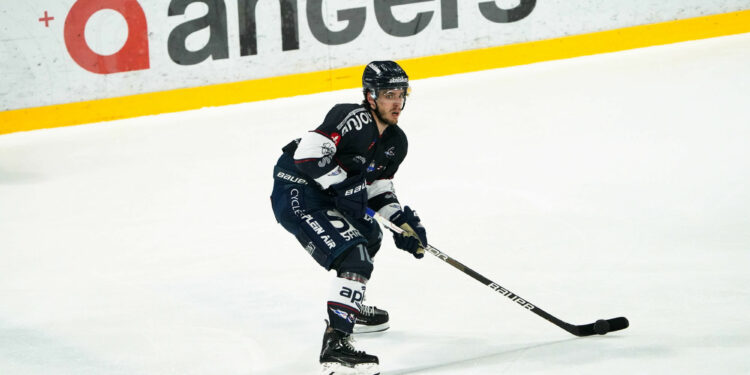 Hockey sur glace : La Continental Cup à Angers