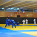 Judo : Le para-judo et le judo vétérans en fête à Tremblay-en-France