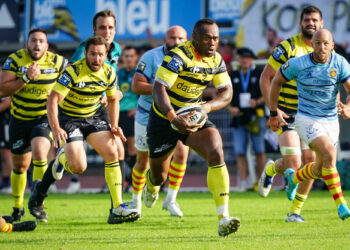 Rugby : L’année ou jamais pour le Stade Montois ?