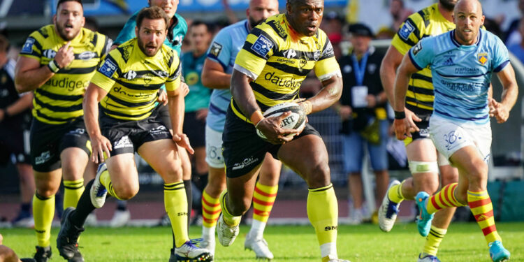 Rugby : L’année ou jamais pour le Stade Montois ?