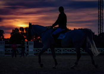 Équitation : Les Herbiers en mode championnats du monde