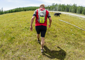 Trail : 2 courses au programme à Bidarray