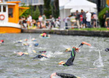 Natation : Douarnenez a aussi droit à son Open
