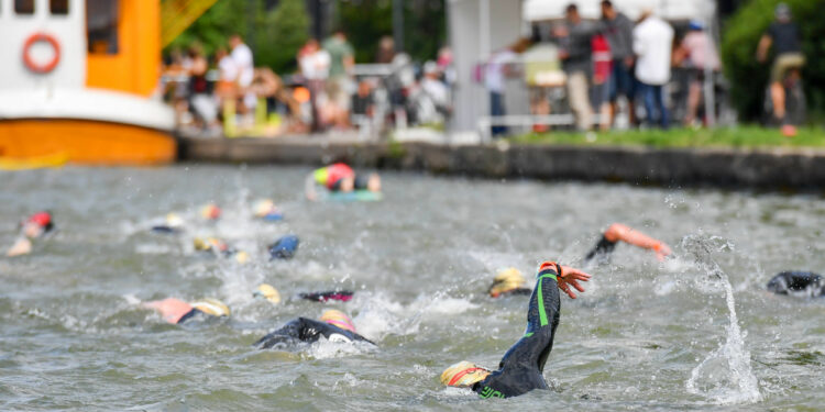 Natation : Douarnenez a aussi droit à son Open