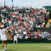 Tennis : Les Françaises en forme à Wimbledon