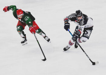 Hockey sur glace : L’effectif des Ducs d’Angers se dévoile