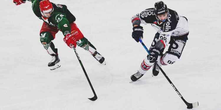 Hockey sur glace : L’effectif des Ducs d’Angers se dévoile