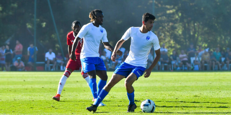 Football : Saison difficile à venir pour Niort ?