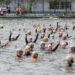 Natation : Douarnenez fait mieux qu’en 2021
