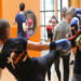 Savate : A Paris XV, la boxe française comme connexion à son corps