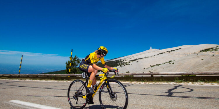 Tour de France Femmes : La composition du Stade Rochelais