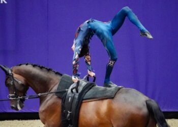 Equitation : Les Français survolent les épreuves de voltige