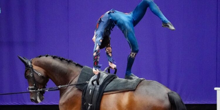 Equitation : Les Français survolent les épreuves de voltige