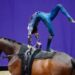 Equitation : Les Français survolent les épreuves de voltige