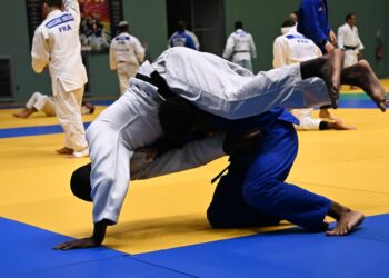 Le Judo Tour Île-de-France s’achève à Etampes