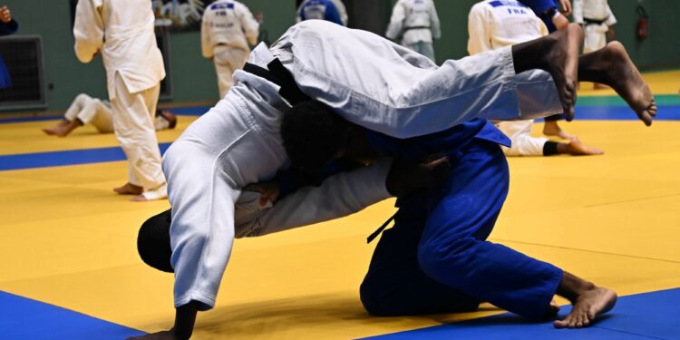 Le Judo Tour Île-de-France s’achève à Etampes