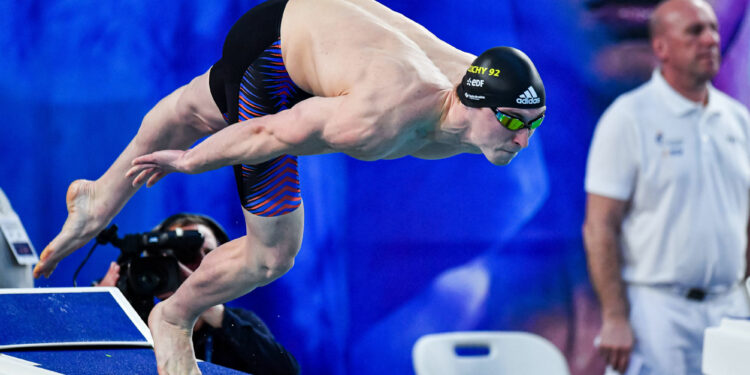 Natation : Du bronze pour lancer les Bleu(e)s