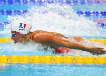 Natation : La France veut continuer à surnager