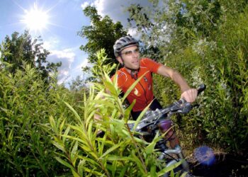 Cyclisme : Les Randobolitaines célèbrent la convivialité