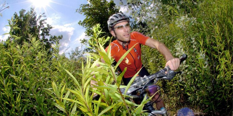 Cyclisme : Les Randobolitaines célèbrent la convivialité
