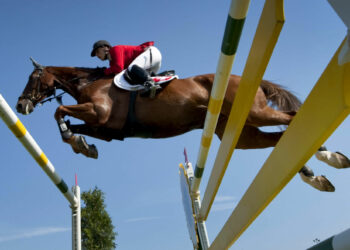 Équitation : La Grande Semaine de Fontainebleau dans les starting-blocks