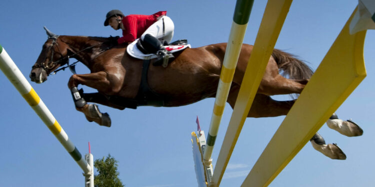 Équitation : La Grande Semaine de Fontainebleau dans les starting-blocks