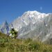 Trail : Aventure en pleine nature à Méribel