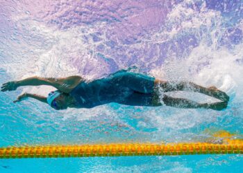 Tennis de table : Lebesson et Yuan sur le toit de l’Europe !