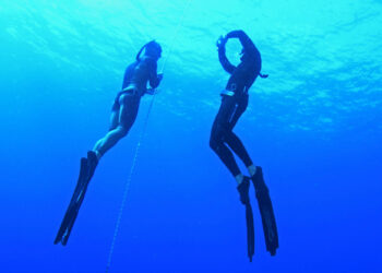 Apnée : De nouveaux records battus par les Français