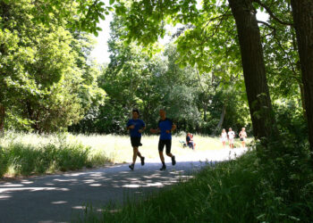 Terre de Jeux sur les Berges de Seine à Ivry