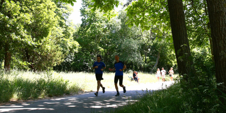 Terre de Jeux sur les Berges de Seine à Ivry