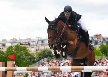 Equitation : Le Jumping de Dinard répond aux attentes