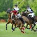 Polo : Courances en mode Coupe Internationale