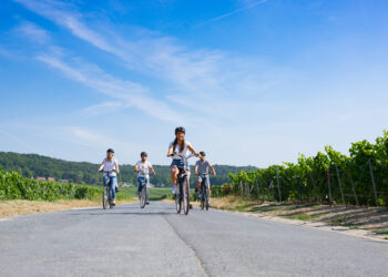 Collection automne-hiver en Grand Est