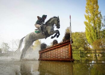 Équitation : Paris 2024 passe par le Berry