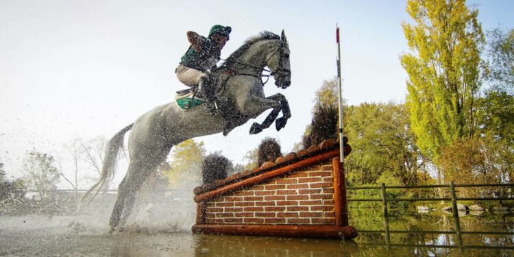 Équitation : Paris 2024 passe par le Berry