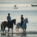Équitation : La Journée du cheval organisée partout en France