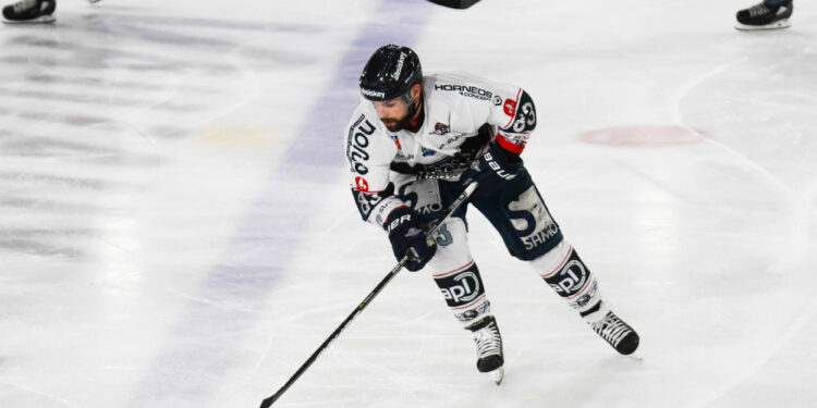 Hockey sur glace : Angers veut confirmer face à Bordeaux