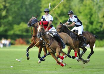 Polo : L’Open de France s’installe à Chantilly