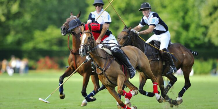 Polo : L’Open de France s’installe à Chantilly