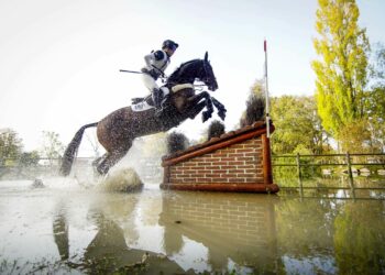 Équitation : Les 5 étoiles de Pau, événement incontournable