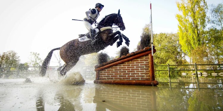 Équitation : Les 5 étoiles de Pau, événement incontournable