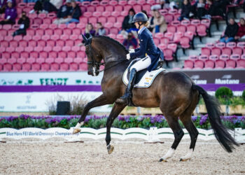 Équitation : La Grande Semaine de Dressage fait le plein à Saumur