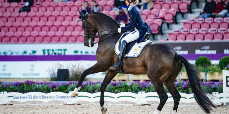 Équitation : La Grande Semaine de Dressage fait le plein à Saumur