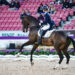 Équitation : La Grande Semaine de Dressage fait le plein à Saumur